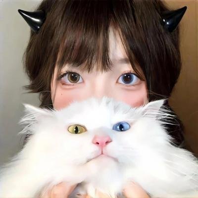 火星上的维纳斯